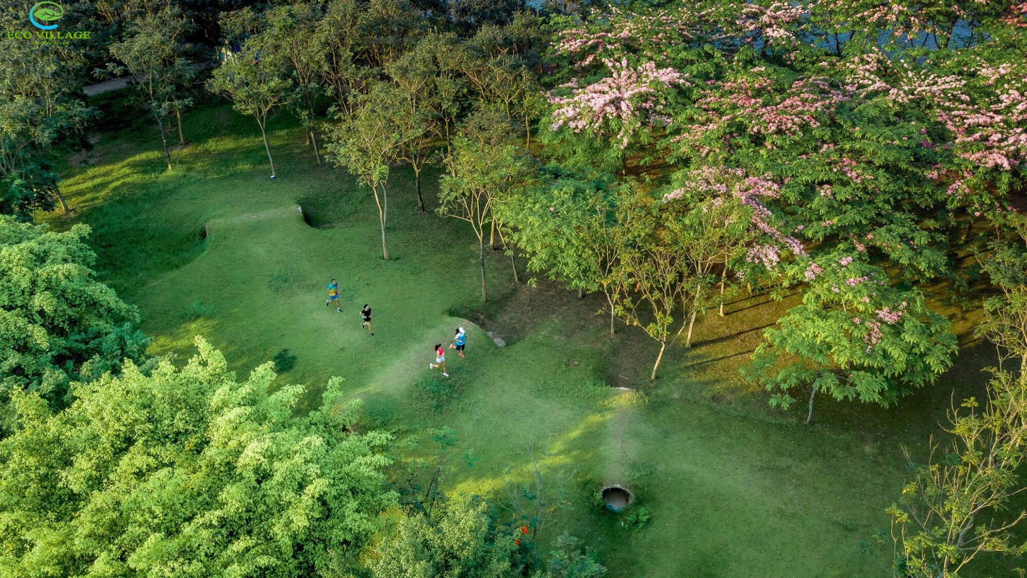 Khung cảnh nằm trong dự án Eco Village Saigon River